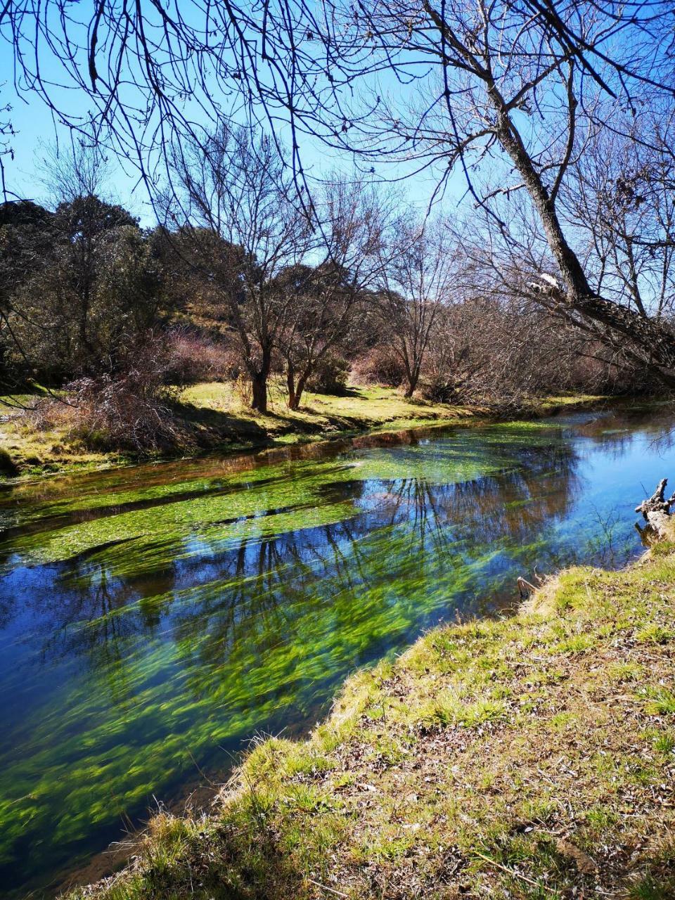 Casa Rural La Cuadra Daire Villar de Corneja Dış mekan fotoğraf