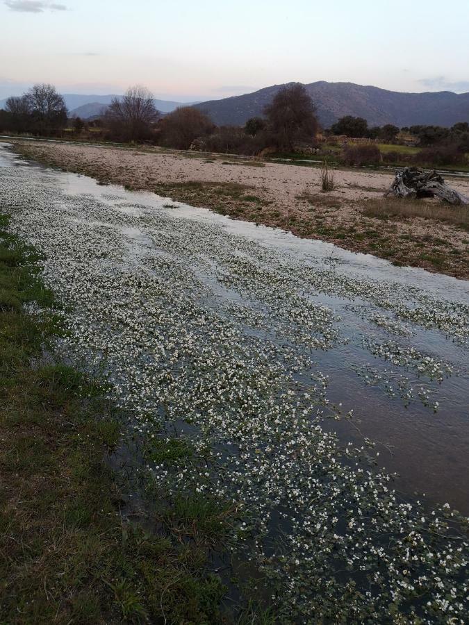 Casa Rural La Cuadra Daire Villar de Corneja Dış mekan fotoğraf